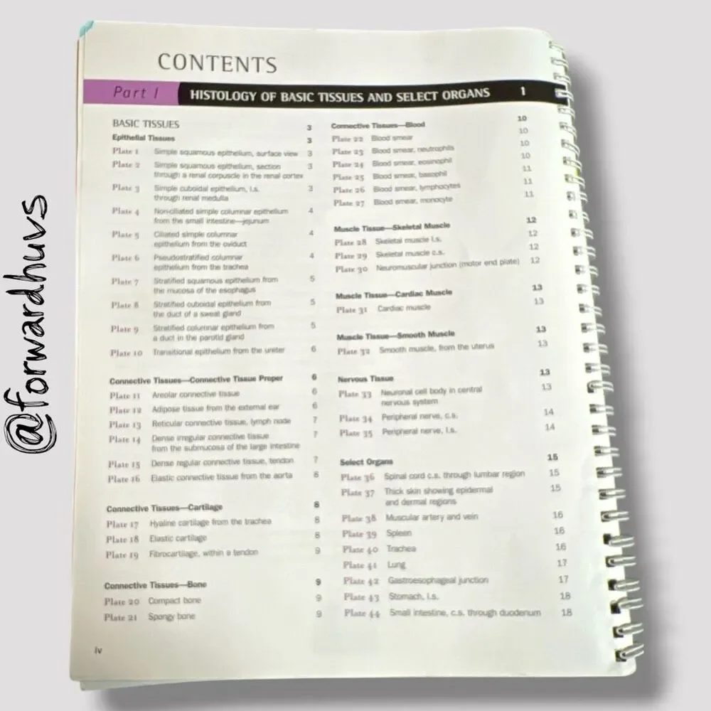2007 Brief Atlas of the Human Body by Matt Hutchinson